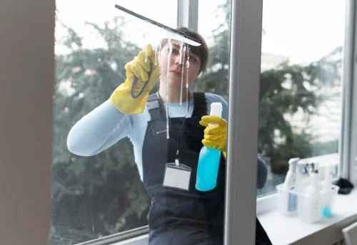 Nettoyage de vitres intérieures et extérieures à Monnet-la-Ville